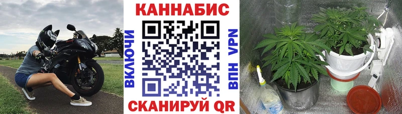 Виды наркоты Пущино Каннабис  Кокаин  Гашиш  Alpha PVP  Меф мяу мяу 