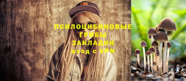сатива Алзамай