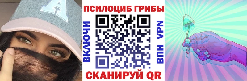 Псилоцибиновые грибы Cubensis продажа наркотиков Пущино